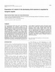 Research paper thumbnail of Expression of β<i>-</i>catenin in the developing chick myotome is regulated by myogenic signals