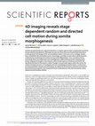 Research paper thumbnail of 4D imaging reveals stage dependent random and directed cell motion during somite morphogenesis