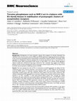 Research paper thumbnail of Tyrosine phosphatases such as SHP-2 act in a balance with Src-family kinases in stabilization of postsynaptic clusters of acetylcholine receptors