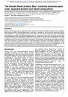 Research paper thumbnail of The Bardet-Biedl protein Bbs1 controls photoreceptor outer segment protein and lipid composition