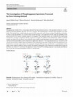 Research paper thumbnail of The Investigation of Phosphogypsum Specimens Processed by Press-Forming Method