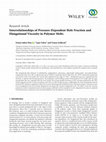 Research paper thumbnail of Interrelationships of Pressure-Dependent Hole Fraction and Elongational Viscosity in Polymer Melts