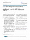 Research paper thumbnail of Erratum to: Changes in expression of class 3 semaphorins and their receptors during development of the rat retina and superior colliculus