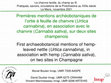 Research paper thumbnail of First archaeobotanical mentions of hemp leaved nettle ( Urtica cannabina ), in association with hemp ( Cannabis sativa ), on two sites in Champagne