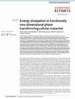 Research paper thumbnail of Energy dissipation in functionally two-dimensional phase transforming cellular materials