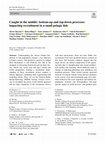 Research paper thumbnail of Caught in the middle: bottom-up and top-down processes impacting recruitment in a small pelagic fish