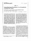 Research paper thumbnail of Immunohistological localization of alpha 1-microglobulin in normal rat tissues