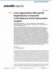 Research paper thumbnail of Liver regeneration after partial hepatectomy is improved in the absence of aryl hydrocarbon receptor