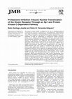 Research paper thumbnail of Proteasome Inhibition Induces Nuclear Translocation of the Dioxin Receptor Through an Sp1 and Protein Kinase C-Dependent Pathway