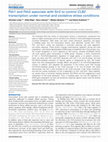 Research paper thumbnail of Fkh1 and Fkh2 associate with Sir2 to control CLB2 transcription under normal and oxidative stress conditions