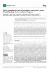 Research paper thumbnail of Nanoparticles Impregnated Wound Dressing Material and Its Mechanistic Insight for Chronic Wound Healing: Recent Progress