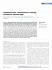 Research paper thumbnail of Spindle to cortex communication in cleaving, polyspermic Xenopus eggs