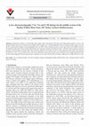 Research paper thumbnail of A new chronostratigraphy (40Ar-39Ar and U-Pb dating) for the middle section of the Burdur-Fethiye Shear Zone, SW Turkey (eastern Mediterranean)