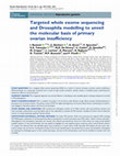 Research paper thumbnail of Targeted whole exome sequencing and Drosophila modelling to unveil the molecular basis of primary ovarian insufficiency