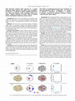 Research paper thumbnail of P287 Effects of beamforming-extracted source oscillations on brain-state-dependent TMS