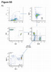 Research paper thumbnail of Supplementary Figure 5 from Gefitinib and Afatinib Show Potential Efficacy for Fanconi Anemia–Related Head and Neck Cancer