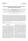 Research paper thumbnail of Molecular detection and analysis of dengue virus genetic diversity in North Sulawesi, Indonesia during 2022