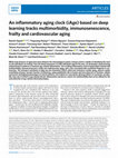 Research paper thumbnail of An inflammatory aging clock (iAge) based on deep learning tracks multimorbidity, immunosenescence, frailty and cardiovascular aging