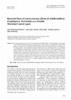 Research paper thumbnail of Bacterial Flora of Lobesia botrana ([Denis & Schiffermüller]) (Lepidoptera: Tortricidae) as a Possible Microbial Control Agent