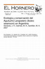 Research paper thumbnail of Ecology and conservation of Swainson's Hawk (Buteo swainsoni) in Argentina