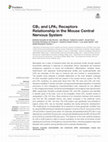 Research paper thumbnail of CB1 and LPA1 Receptors Relationship in the Mouse Central Nervous System