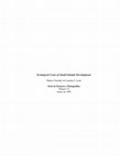 Research paper thumbnail of Ecological Costs of Small Islands Development