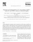 Research paper thumbnail of Expression and immunogenicity of V3 loop epitopes of HIV-1, isolates SC and WMJ2, inserted in Salmonella flagellin