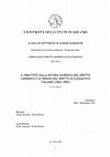 Research paper thumbnail of Il Dibattito Sulla Natura Giuridica Del Diritto Canonico e Le Origini Del Diritto Ecclesiastico Italiano (1861-1895)