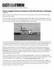 Research paper thumbnail of Chinese FDI in Brunei