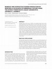 Research paper thumbnail of Biomass and Exopolysaccharide Production by Morchella Esculenta in Submerged Culture Using the Extract from Waste Loquat (Eriobotrya Japonica L.) Kernels