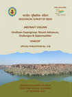 Research paper thumbnail of Tectonic Signatures of Passive Margin Settings of the Vindhyan Sequence in Son Valley, Central India