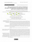 Research paper thumbnail of First record of two invasive species of Crypticerya (Hemiptera: Monophlebidae) causing outbreaks in urban green areas of Guayas Province, Ecuador