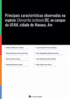 Research paper thumbnail of Principais Características Observadas Na Espécie Chimarrhis Turbinata DC. No Campus Da Ufam, Cidade De Manaus, Am