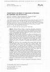 Research paper thumbnail of Suicidal behavior and ethnicity of young females in Rotterdam, the Netherlands: rates and risk factors