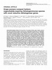 Research paper thumbnail of Grape pomace compost harbors organohalide-respiring Dehalogenimonas species with novel reductive dehalogenase genes