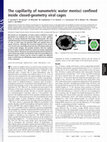 Research paper thumbnail of The capillarity of nanometric water menisci confined inside closed-geometry viral cages