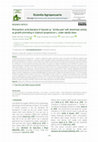 Research paper thumbnail of Rhizospheric actinobacteria of Opuntia sp. “prickly pear” with deaminase activity as growth promoting in Solanum lycopersicum L. under salinity stress