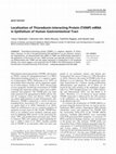 Research paper thumbnail of Localization of Thioredoxin-interacting Protein (TXNIP) mRNA in Epithelium of Human Gastrointestinal Tract