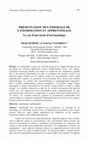 Research paper thumbnail of PRÉSENTATION MULTIMODALE DE L'INFORMATION ET APPRENTISSAGE Le cas d'une leçon d'aéronautique