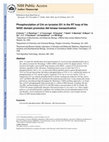 Research paper thumbnail of Phosphorylation of Crk on tyrosine 251 in the RT loop of the SH3C domain promotes Abl kinase transactivation