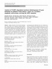 Research paper thumbnail of Analysis of NADP+-dependent isocitrate dehydrogenase-1/2 gene mutations in pediatric brain tumors: report of a secondary anaplastic astrocytoma carrying the IDH1 mutation