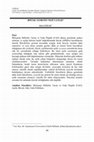 Research paper thumbnail of Böcek Yemenin Nesi Yanlış