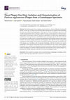 Research paper thumbnail of Three Phages One Host: Isolation and Characterization of Pantoea agglomerans Phages from a Grasshopper Specimen