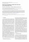 Research paper thumbnail of Particle Size and Morphology of Iridium Oxide Nanocrystals in Non-Volatile Memory Device