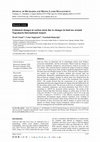 Research paper thumbnail of Estimated changes in carbon stock due to changes in land use around Yogyakarta International Airport