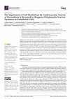 Research paper thumbnail of The Impairment of Cell Metabolism by Cardiovascular Toxicity of Doxorubicin Is Reversed by Bergamot Polyphenolic Fraction Treatment in Endothelial Cells