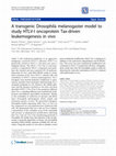 Research paper thumbnail of A transgenic Drosophila melanogaster model to study HTLV-I oncoprotein Tax-driven leukemogenesis in vivo