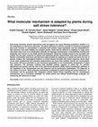 Research paper thumbnail of What molecular mechanism is adapted by plants during salt stress tolerance