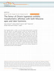 Research paper thumbnail of The femur of Orrorin tugenensis exhibits morphometric affinities with both Miocene apes and later hominins