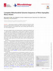 Research paper thumbnail of Complete Mitochondrial Genome Sequences of Nine Aspergillus flavus Strains